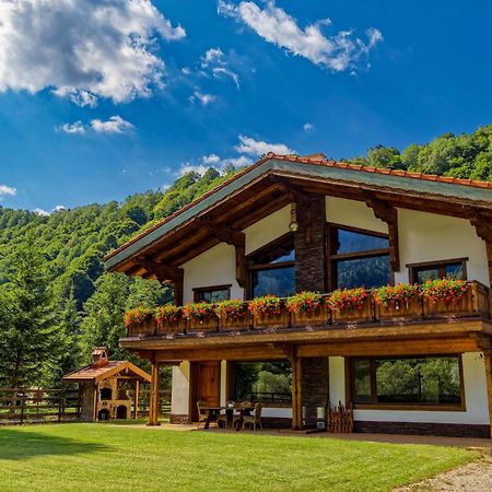 Avalanche Plaiul Foii Zarnesti Exterior foto