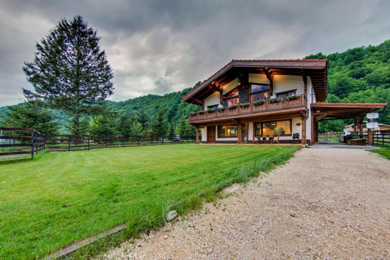 Avalanche Plaiul Foii Zarnesti Exterior foto